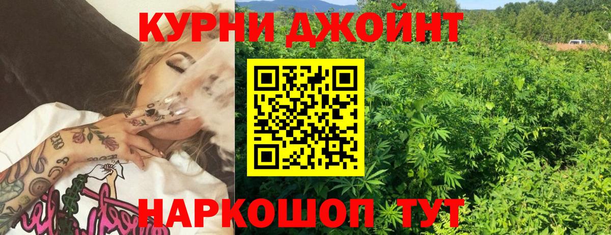Каннабис индика Балашов